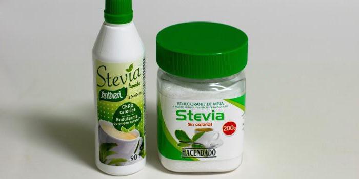 stevia bylina