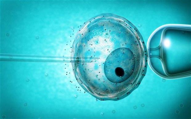 stymulacja jajników w planowaniu ciąży za pomocą środków ludowych