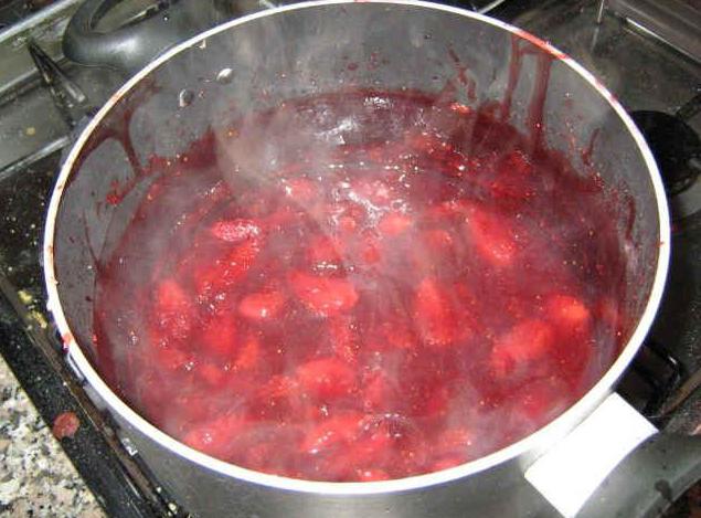 pet minuta recepta za džem od jagoda