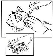 Stronghold pro instrukce koček