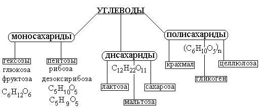 shema razvrstavanja ugljikohidrata