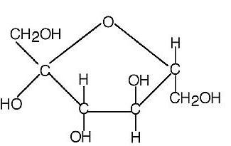 klasifikacija i struktura ugljikohidrata