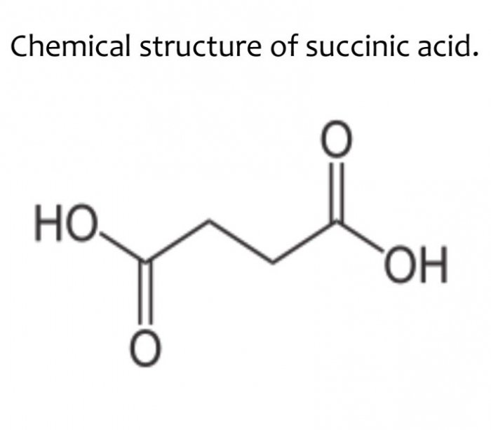 compresse di acido succinico per piante