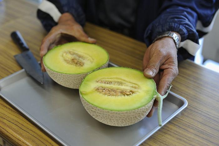 korzyści i szkody dla nasion melona