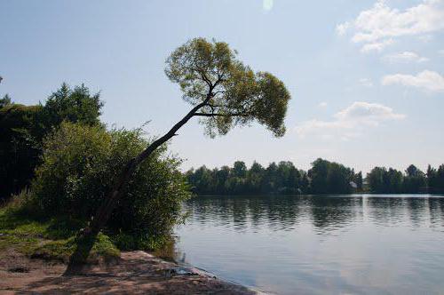 Jeziora Suzdal w Petersburgu
