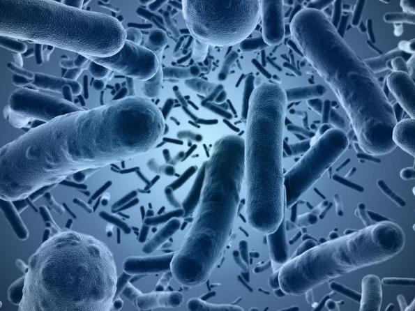 pseudomembranozni kolitis upala debelog crijeva nakon antibiotika