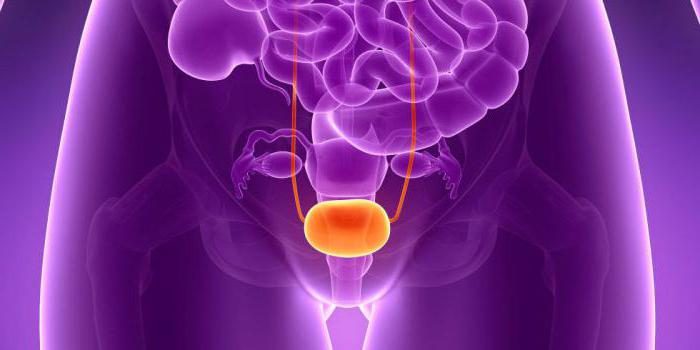 simptomi raka sečnega mehurja pri ženskah