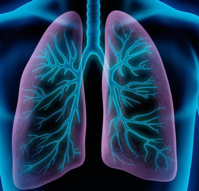 simptomi pljučnice pri odraslih s povišano telesno temperaturo