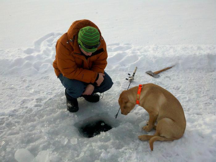 справяне със зимния риболов