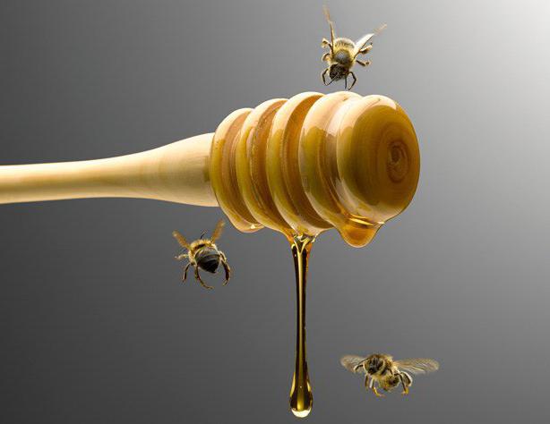 miele con recensioni di ginecologia vene vene aloe