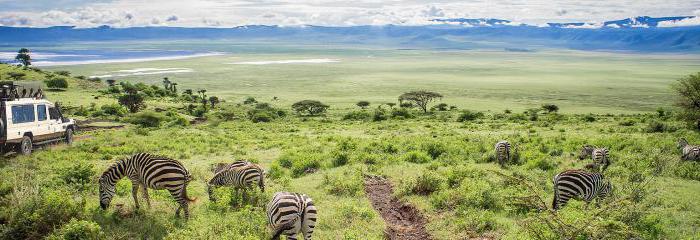 Танзания Занзибар Туристически ревюта 2016