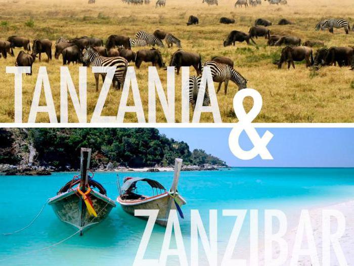 Otok Zanzibar
