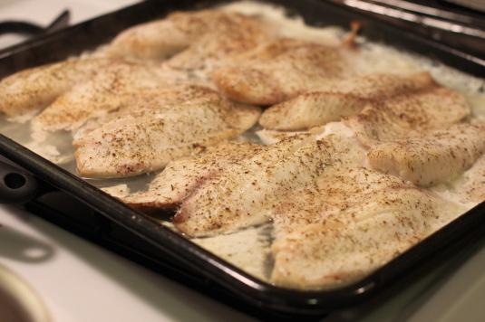 kuhamo ribe v pečici