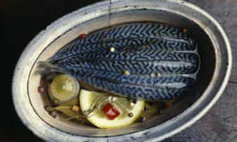 makrely nakládané recepty na vaření
