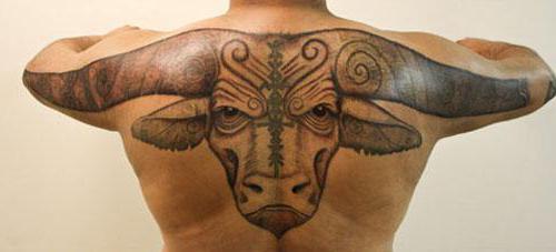 bull tattoo pomen