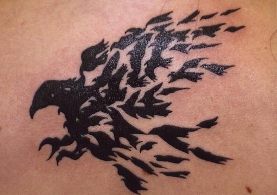 Raven tetování