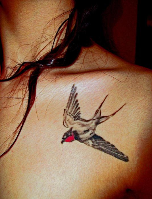 tetování vlaštovčí fotografie
