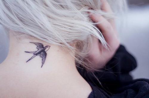 tetování vlaštoví na krku