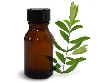 Ile kosztuje olejek z drzewa herbacianego