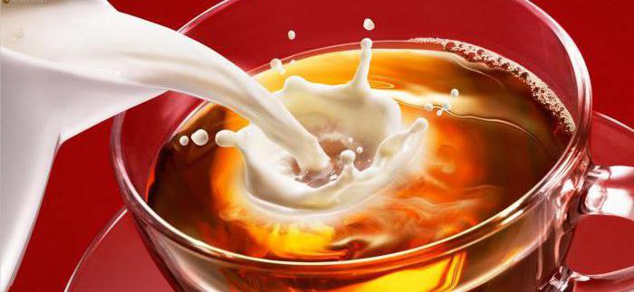 recensioni di benefici e danni al tè al latte