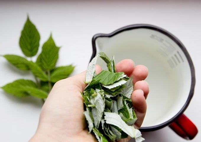 il tè dalle foglie di lampone ne beneficia e danneggia