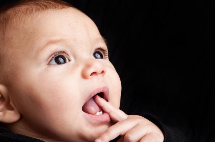 schema di dentizione nei bambini sotto i 2 anni