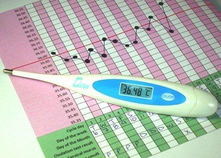 Jaká je teplota během ovulace?