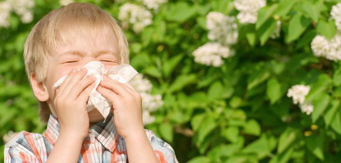 moccio di tosse secca senza temperatura in un bambino
