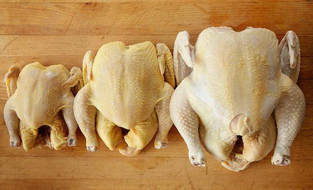 pollo alla griglia in forno su uno spiedino