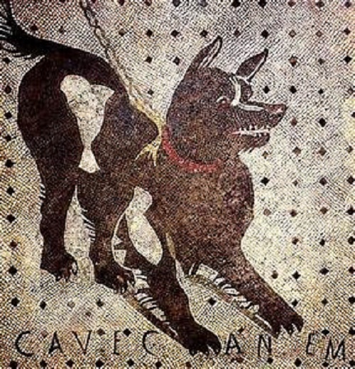 Mozaiki w Pompejach
