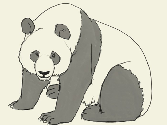как да нарисувате панда на етапи