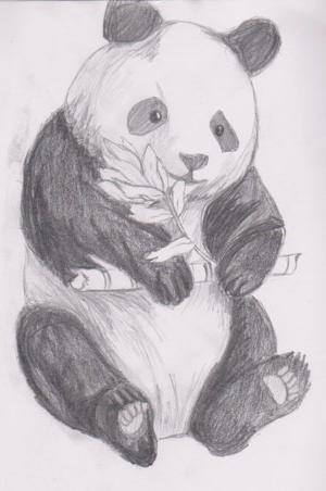 svinčnik panda