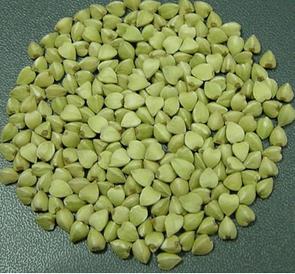 uso di grano saraceno verde