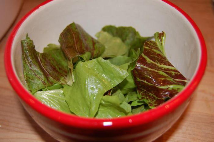 použití listového salátu pro tělo
