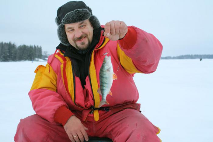 Zimski ribolov ostriž na ravnovesje