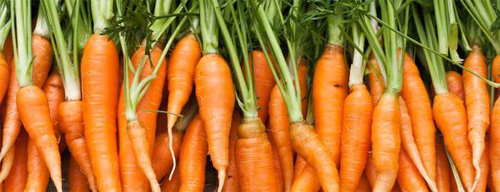 quali buoni semi di carota