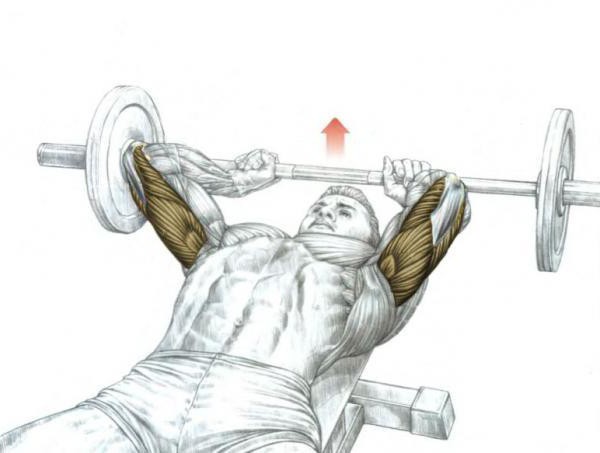 vadba za triceps v telovadnici