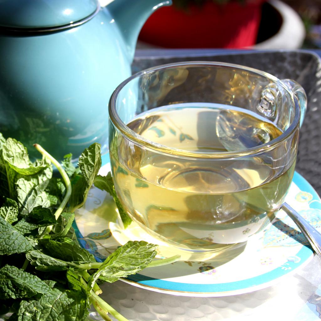 Ożywcza zielona herbata