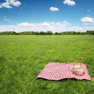 przekąski piknikowe w przyrodzie