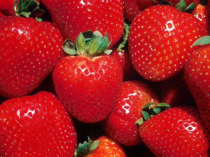 преглед на най-добрите сортове ремонтантни ягоди