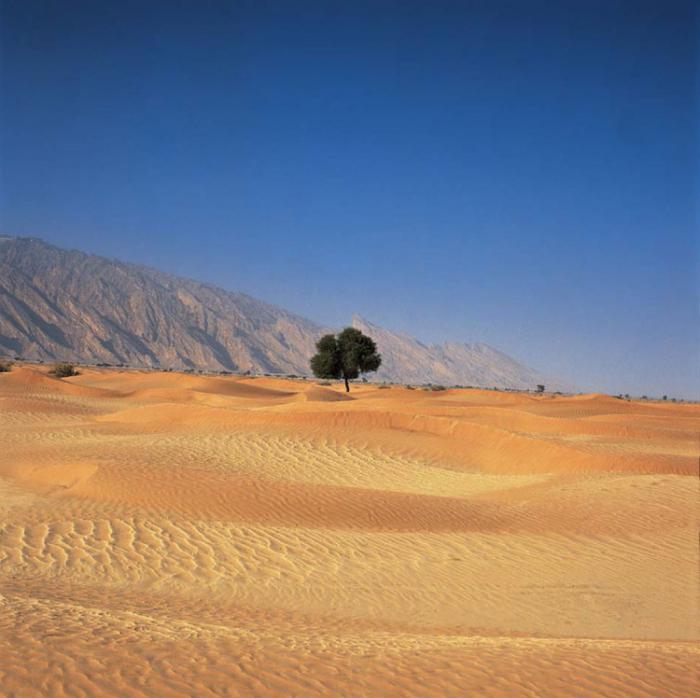 poušť Arabského poloostrova