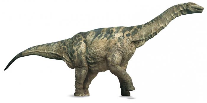 největší dinosaurus