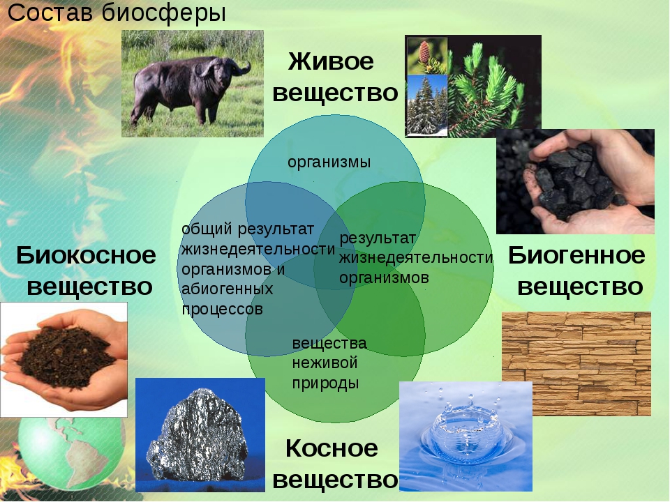 Substancje biosfery