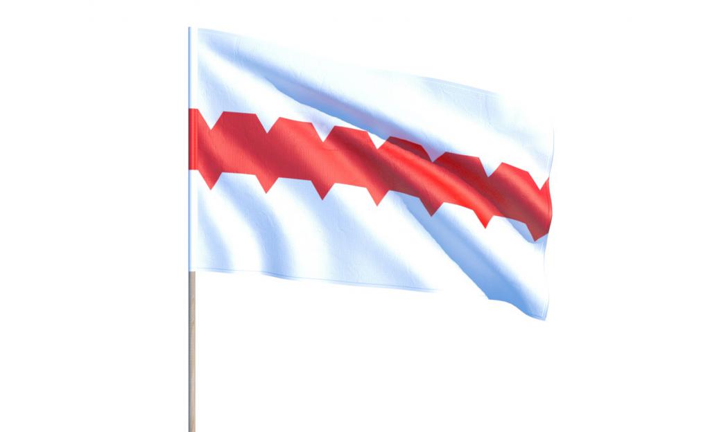 Омск флаг