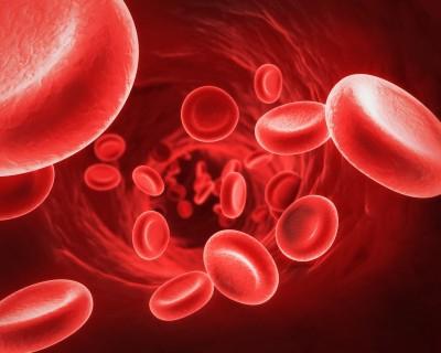 hematogenní složení hovězí krev