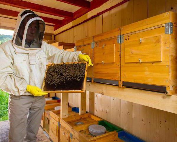 Przechowywanie pszczół