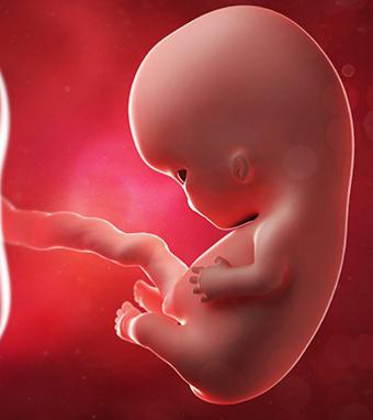 usporavanje rasta fetusa