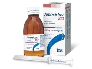 amoxiclav během těhotenství