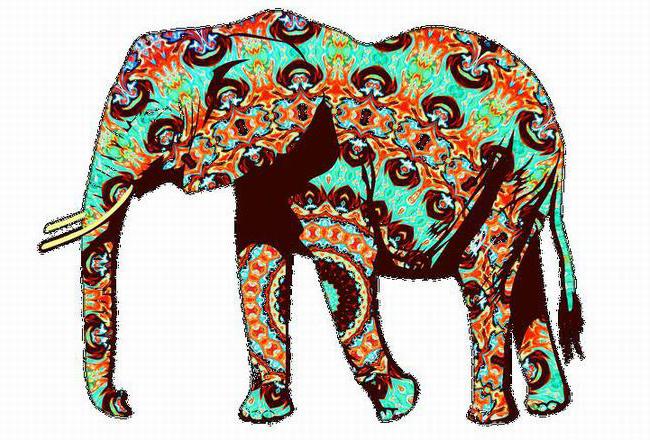 un elefante è un simbolo di cosa dare