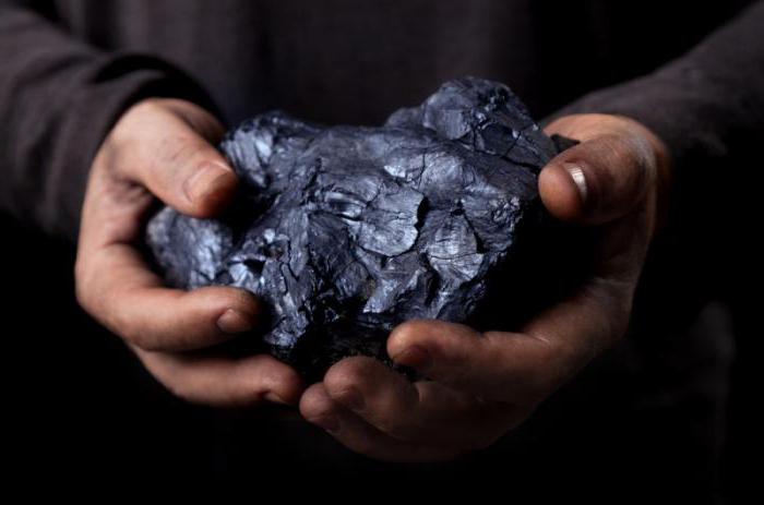biologia della formazione del carbone